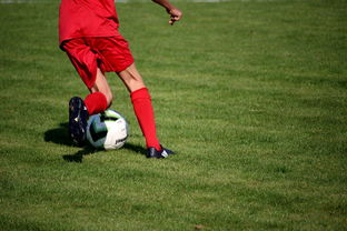 爱游戏平台-足球场馆数字化管理平台正式上线，提升运营效率，足球场管理系统app