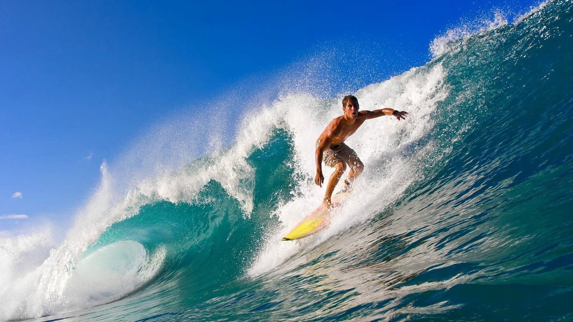 _未来运动机器人:智能助力运动训练_,未来多功能机器人